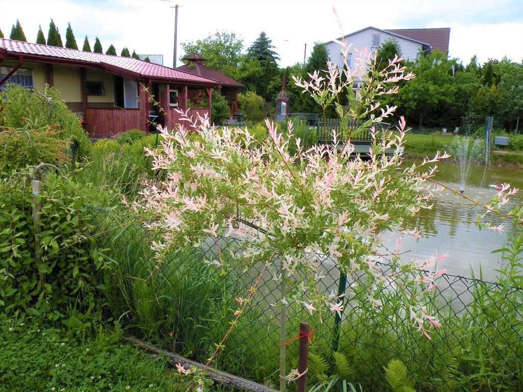 Pokoje Zabi Staw Mikołajki Exteriör bild
